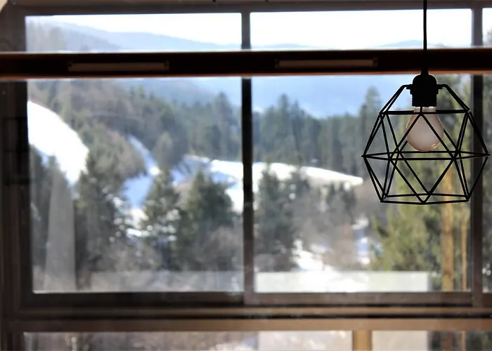 Apartmán Sous Les Pistes Avec Vue Sur La Vallee La Bresse