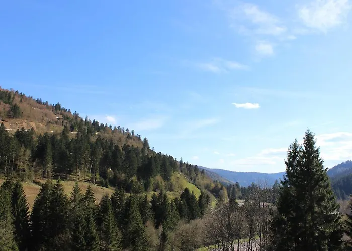 Sous Les Pistes Avec Vue Sur La Vallee
